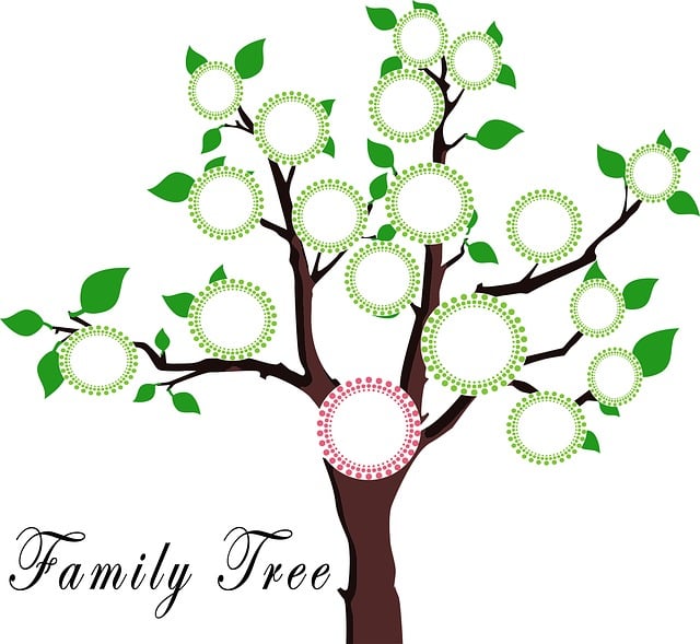 illustration of family tree